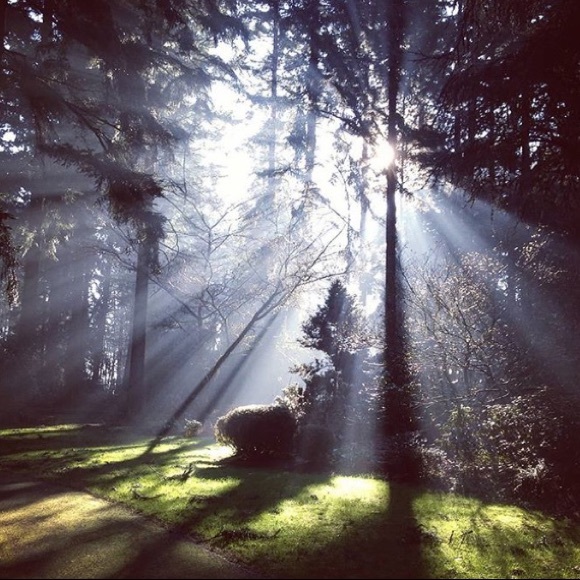 Meet your Posher, Great Willow Clothing! - Picture 2 of 3